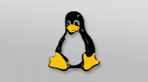 Linux 入门教程