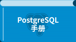 PostgreSQL 13.1 中文入门教程
