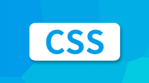 CSS 入门教程